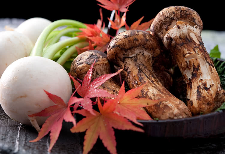 秋の香りを運ぶ「松茸」